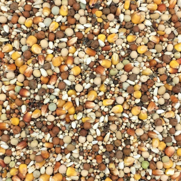 Paloma D27 Premium Breeding 25kg