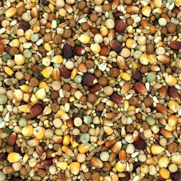 S.S.S Super Widowhood 20kg pigeon seed mix for breeding and performance